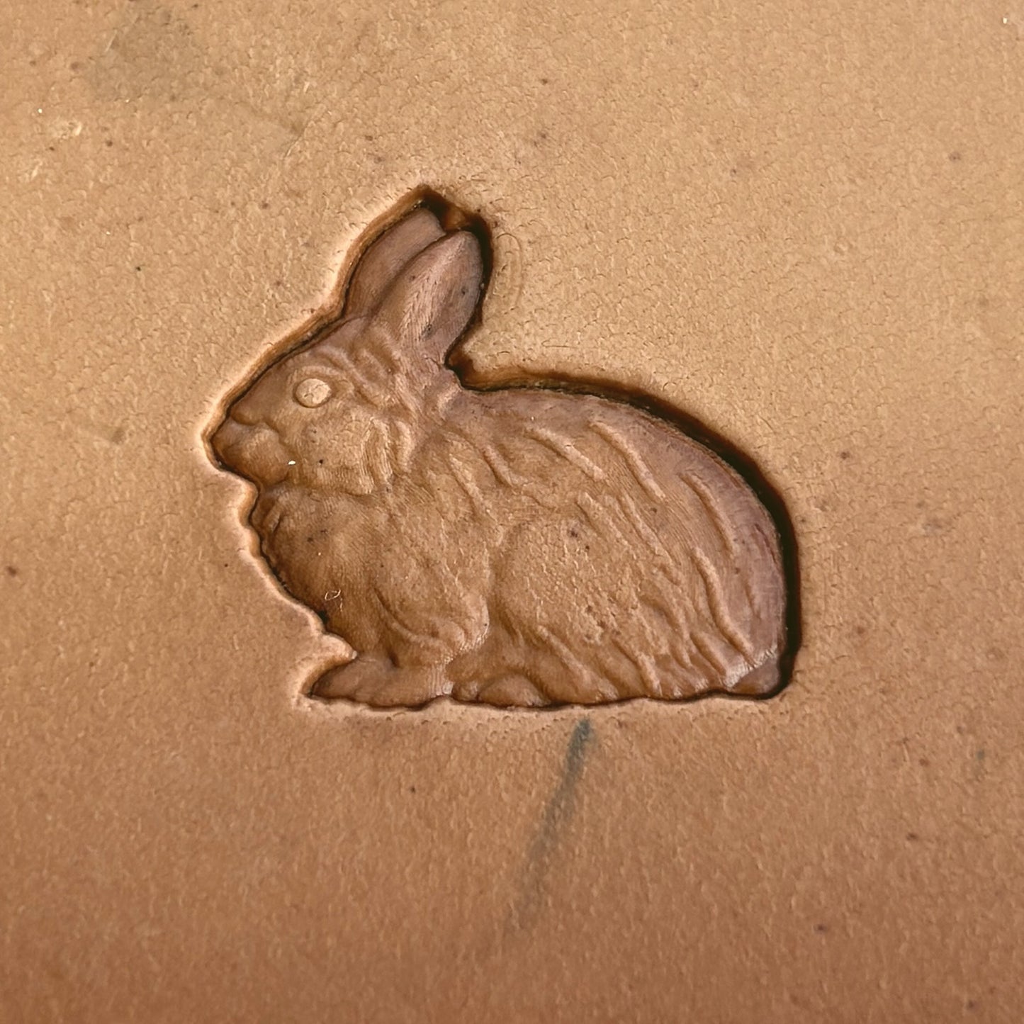 Rabbit leather stamp LT205 — single impression on veg-tan leather