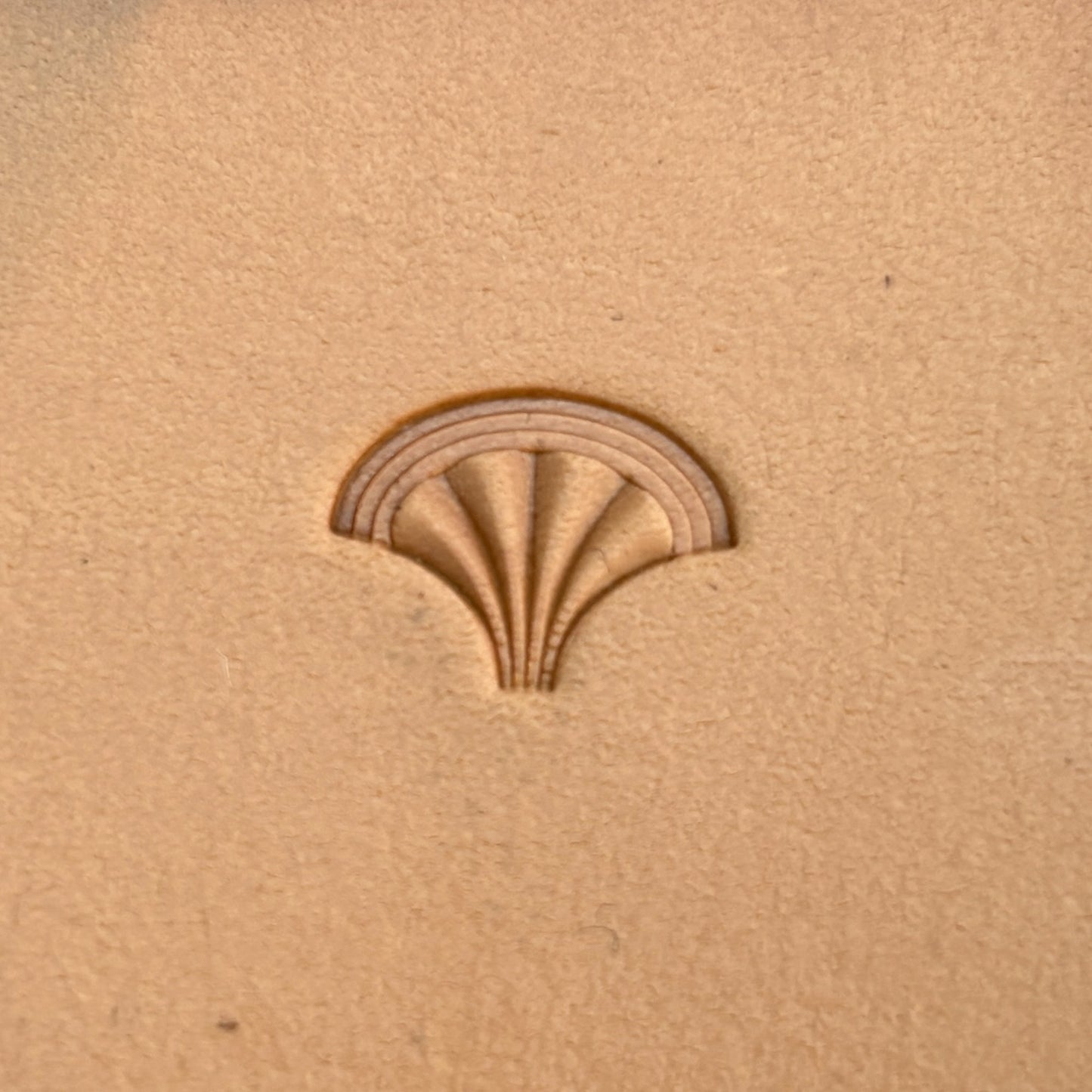 Fan Scallop leather stamp LT210 — single impression on veg-tan leather