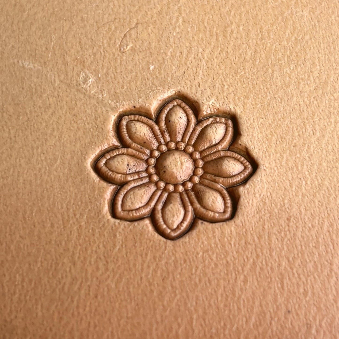 Flower leather stamp LT260 — single impression on veg-tan leather