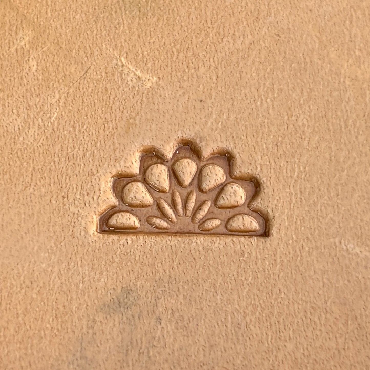 Peacock leather stamp LT264 — single impression on veg-tan leather