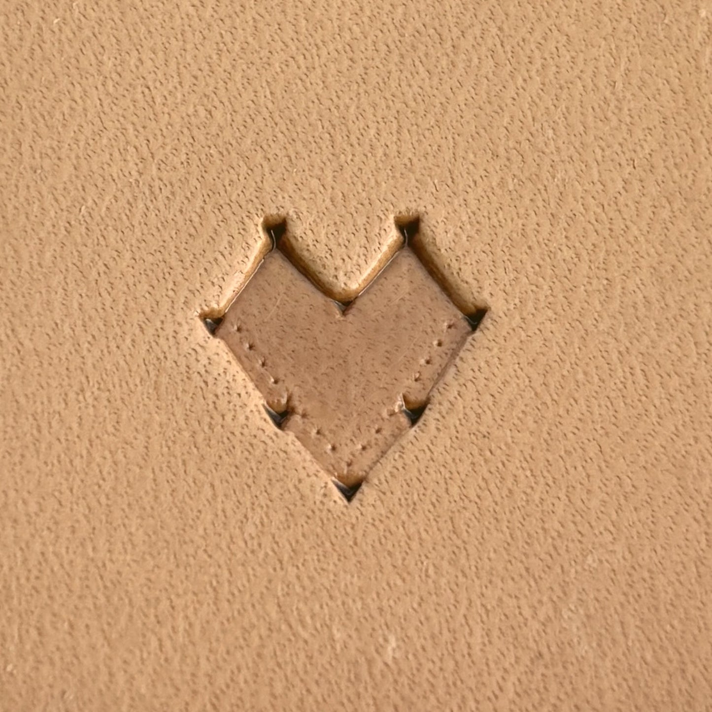 Scales leather stamp LT267 — single impression on veg-tan leather