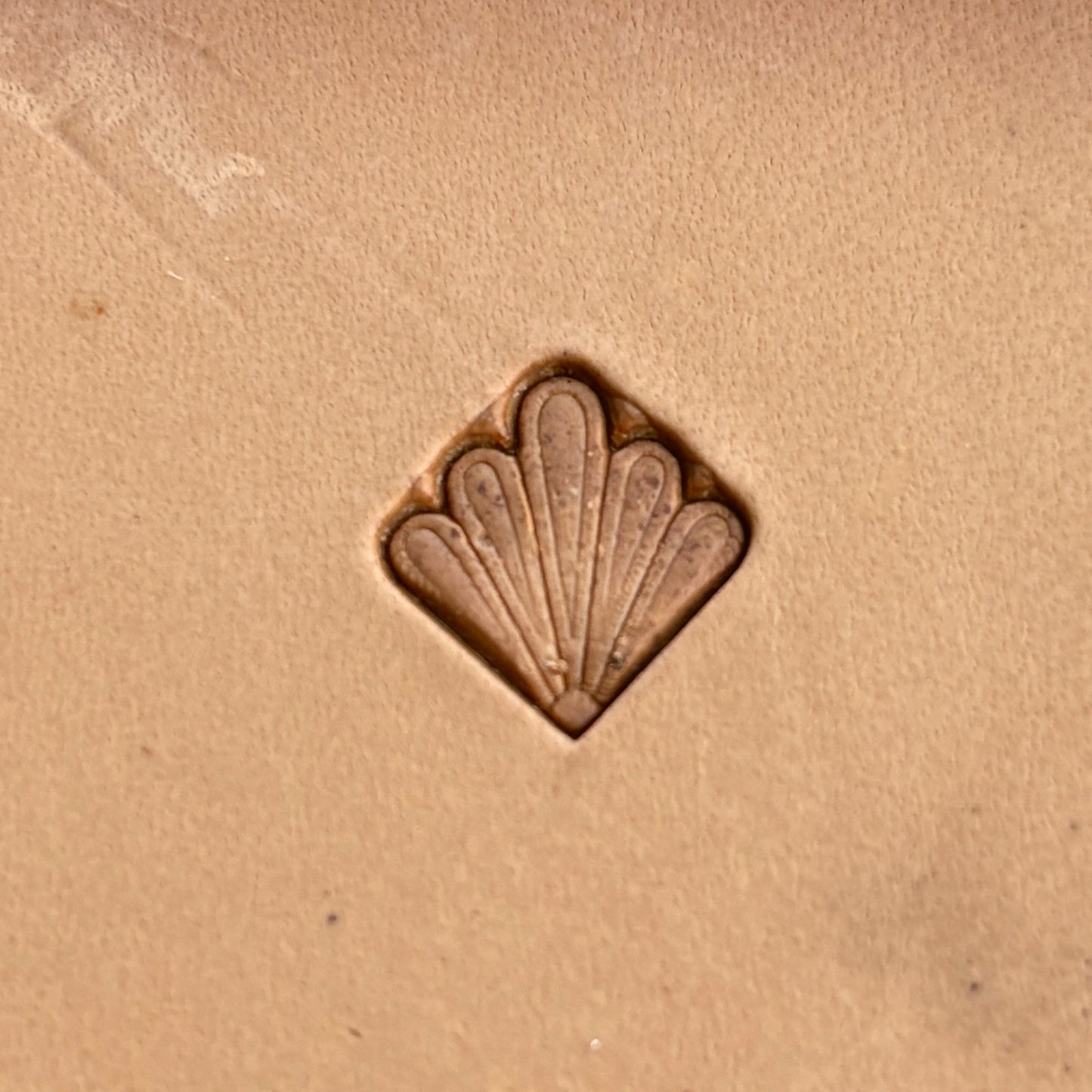 Fan Shape leather stamp LT298 — single impression on veg-tan leather