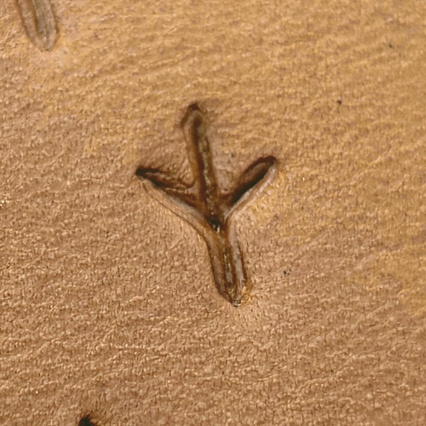 Bird Track Footprint leather stamp LT328 — single impression on veg-tan leather