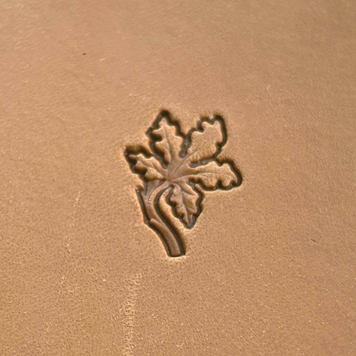 Oak Leaf leather stamp LT330 — single impression on veg-tan leather