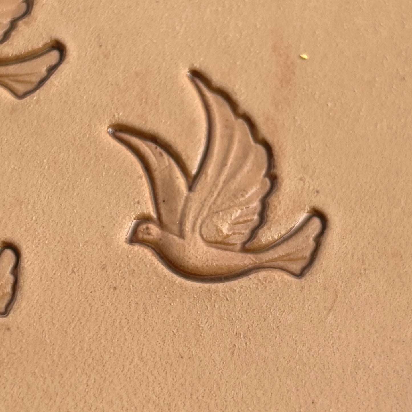 Swan leather stamp LT334 — single impression on veg-tan leather