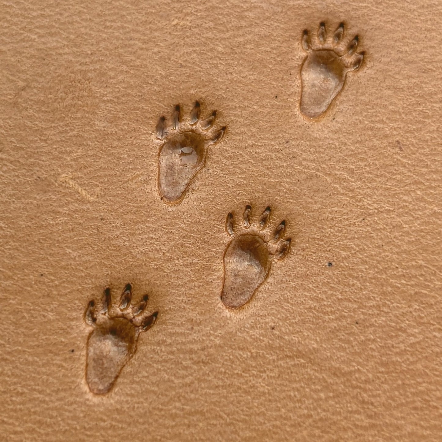 Tracks Paw Bear leather stamp LT336 — single impression on veg-tan leather