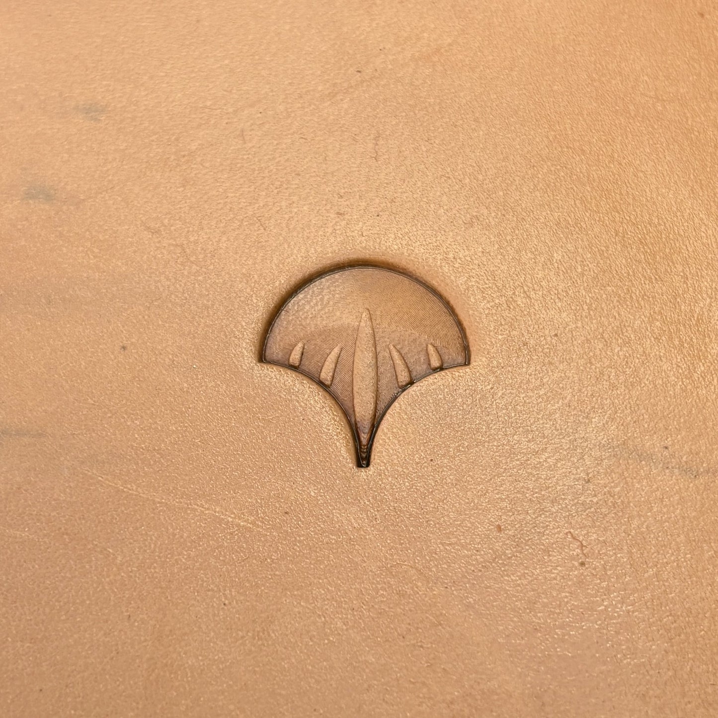 Scallop Fan leather stamp LT353 — single impression on veg-tan leather