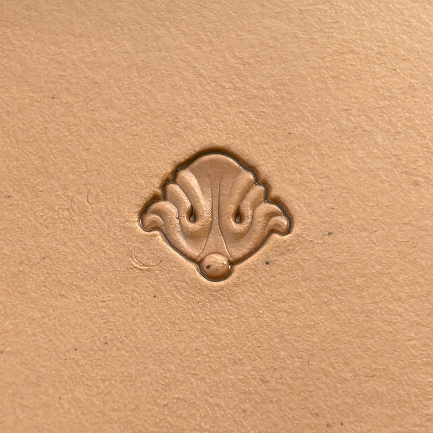 Ornate Border leather stamp LT394 — single impression on veg-tan leather