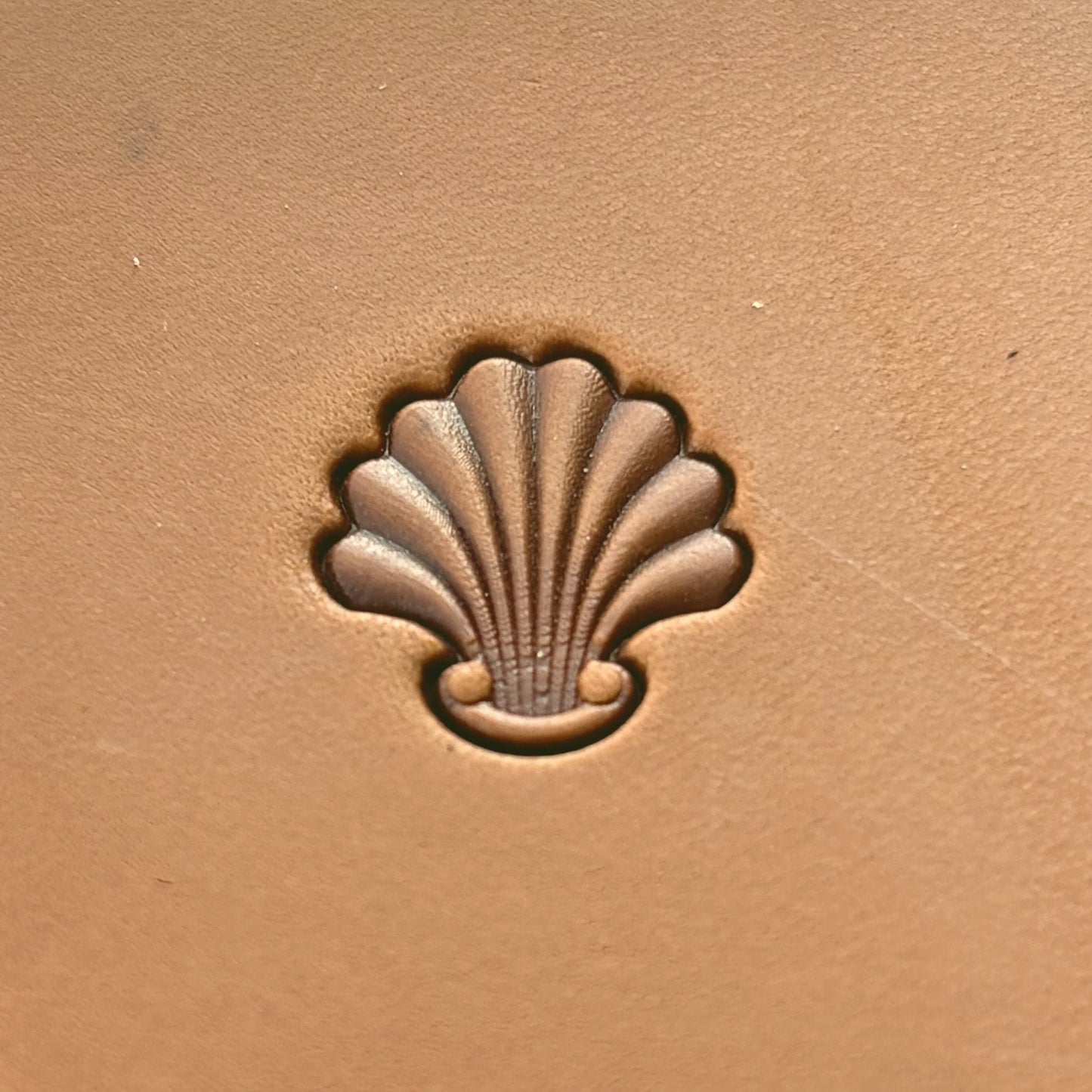 Shell Border leather stamp LT398 — single impression on veg-tan leather
