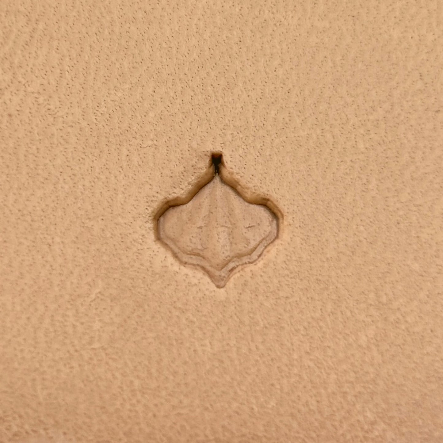 Cluster Leaf leather stamp LT409 — single impression on veg-tan leather