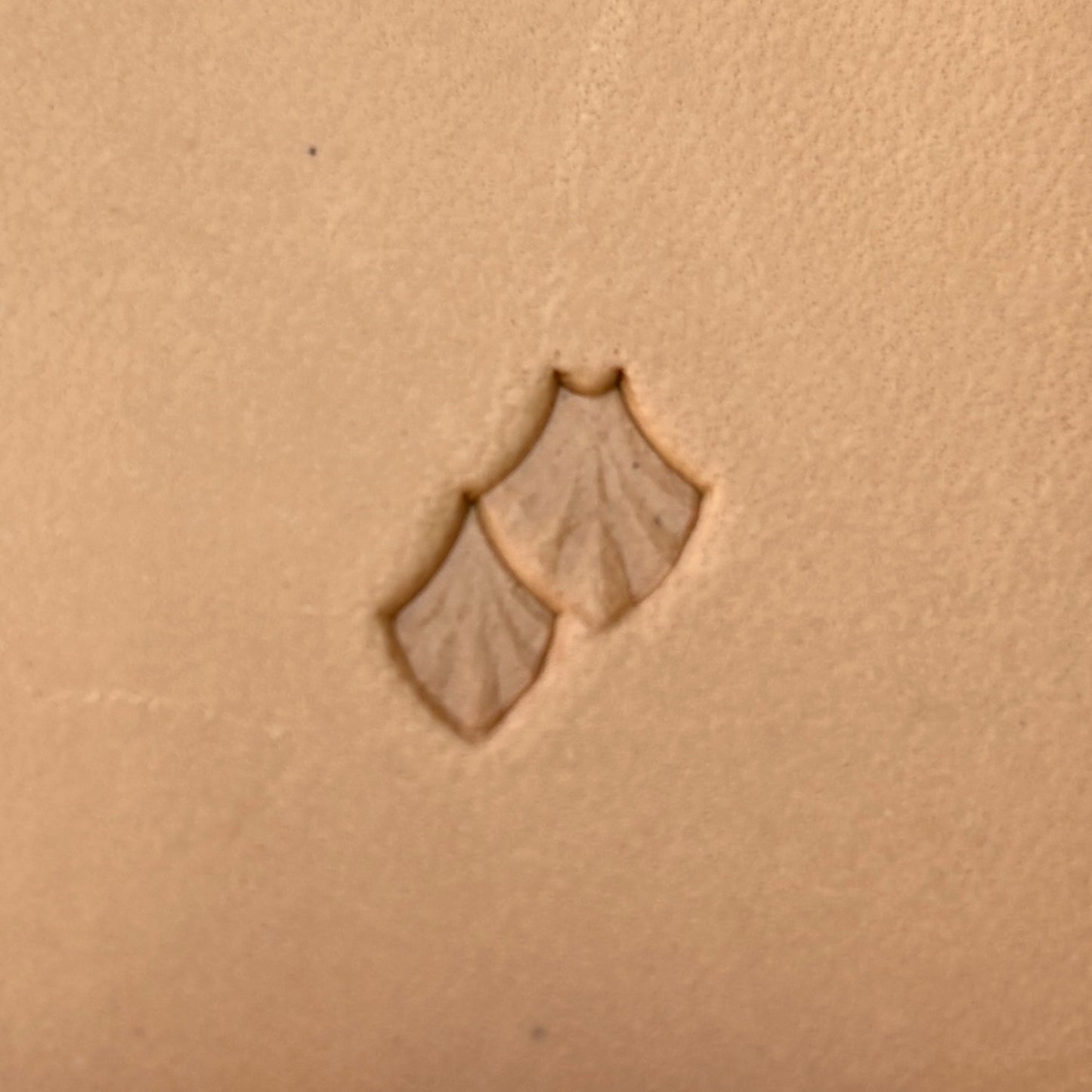 Fan Scales leather stamp LT411 — single impression on veg-tan leather