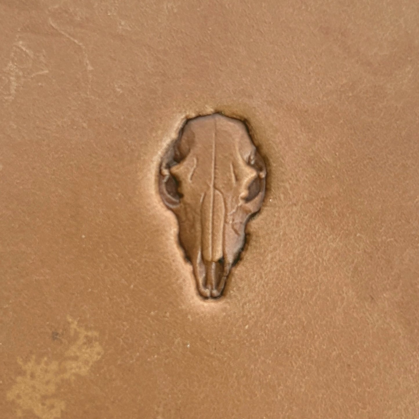 Longhorn Skull leather stamp LT561 — single impression on veg-tan leather