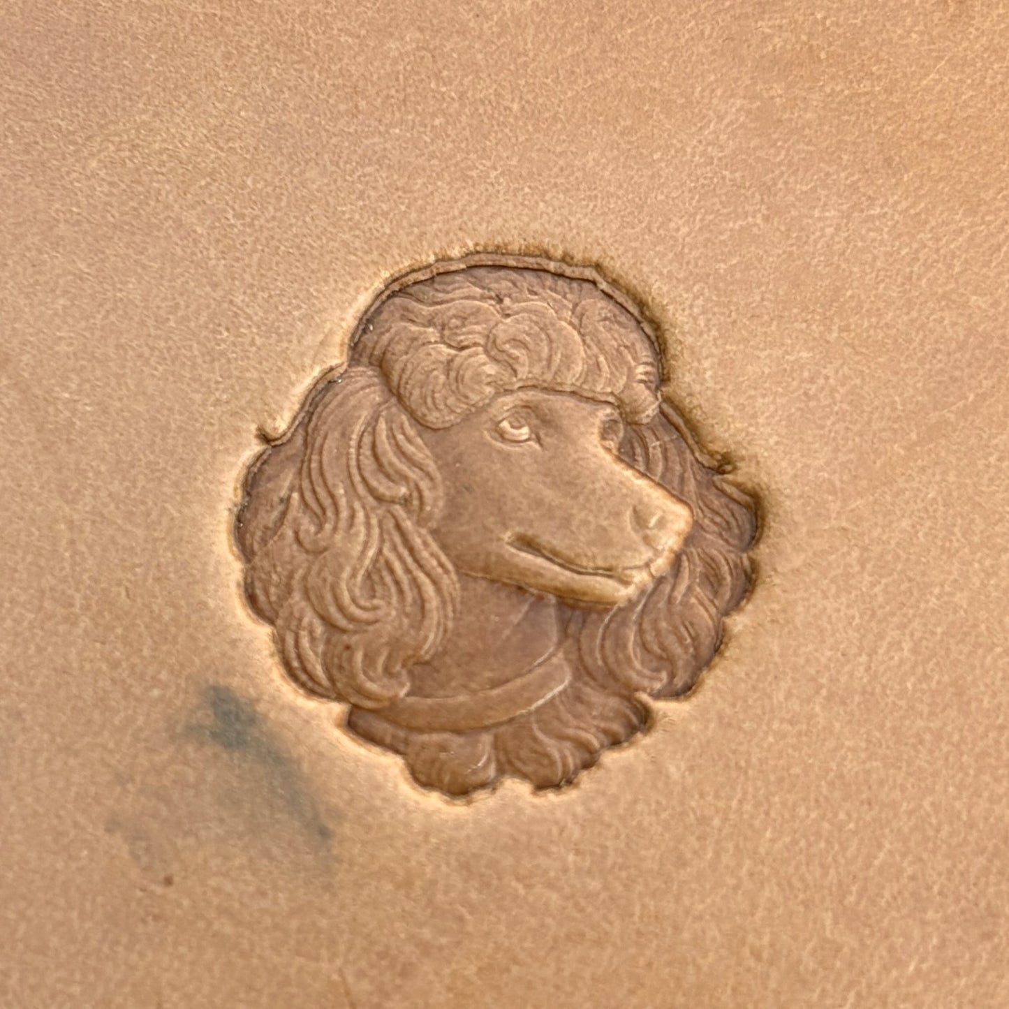 Poodle Head Dog leather stamp LT580 — single impression on veg-tan leather