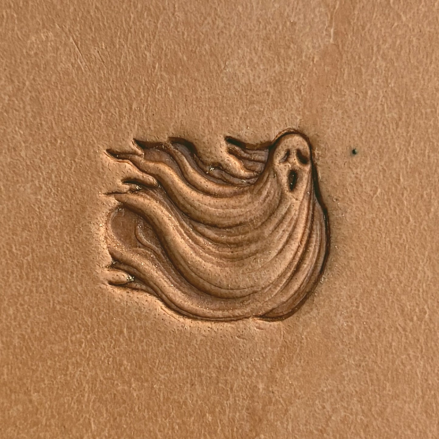 Ghost leather stamp LT584 — single impression on veg-tan leather
