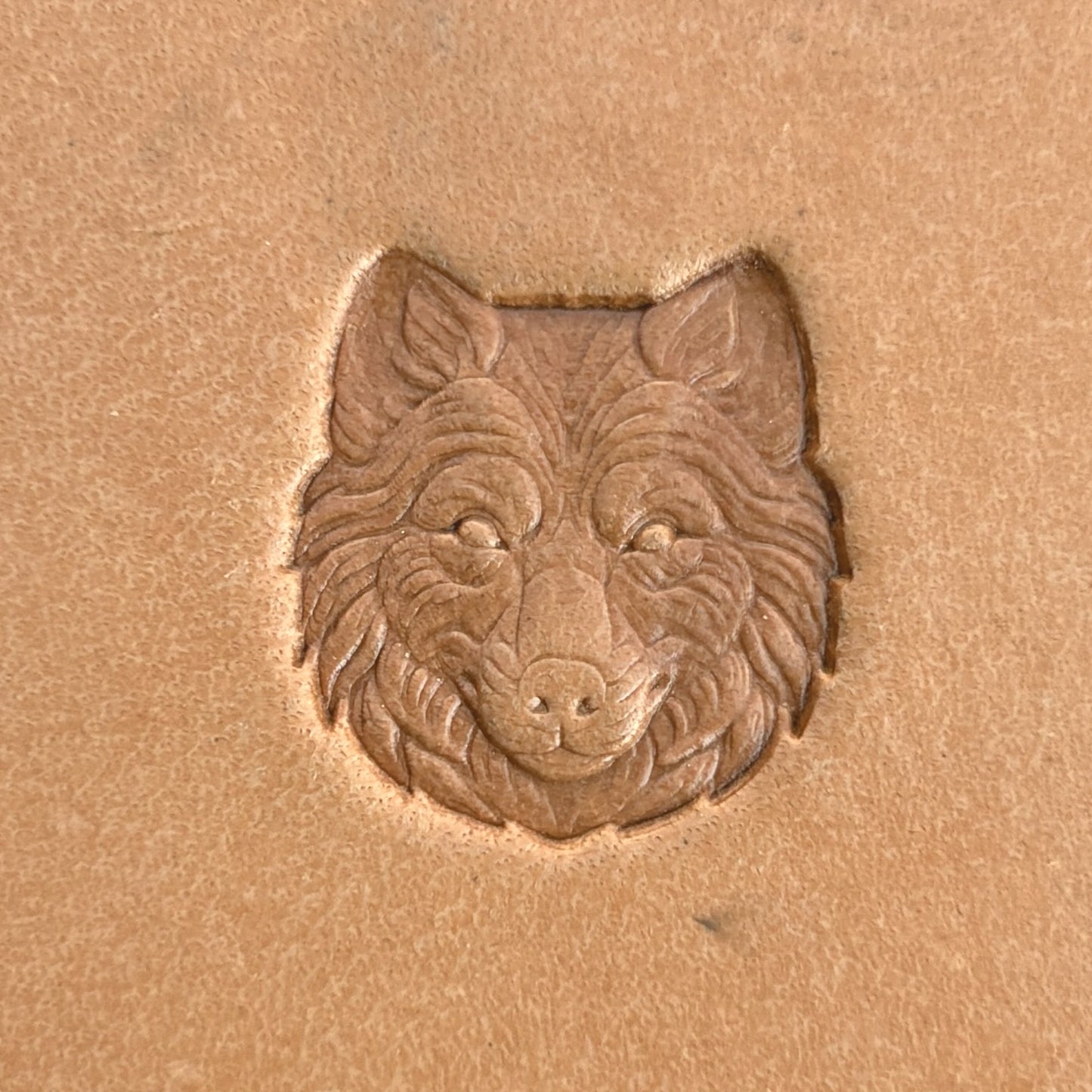 Fluffy Face Wolf leather stamp LT589 — single impression on veg-tan leather