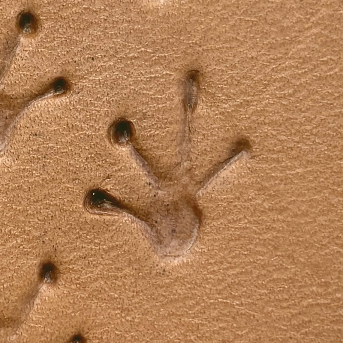 Frog Footprint leather stamp LT616 — single impression on veg-tan leather