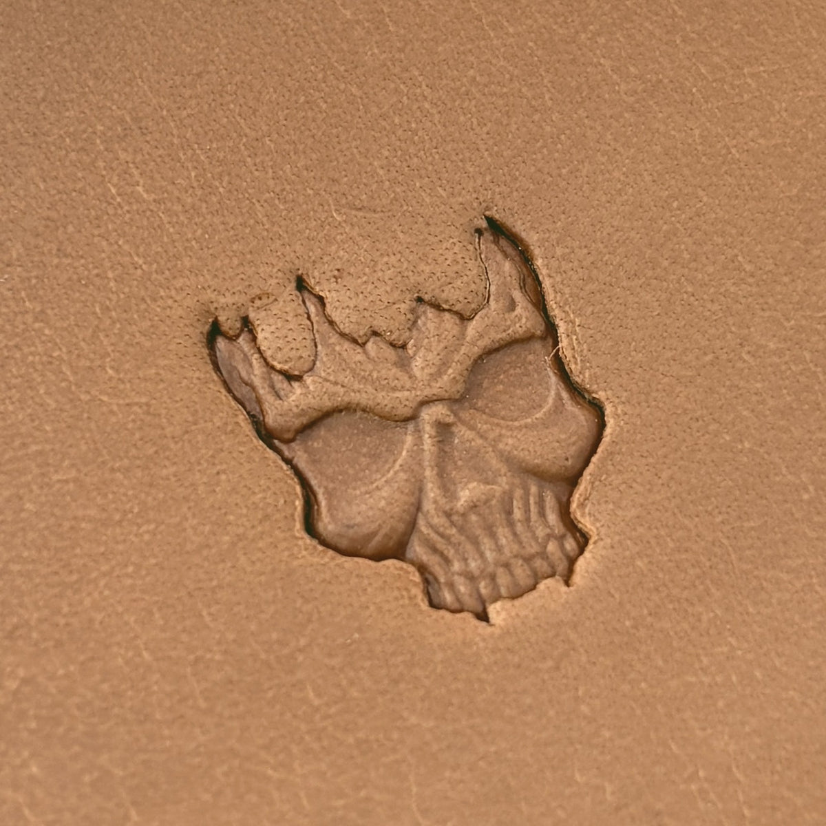 Cracked Skull leather stamp LT620 — single impression on veg-tan leather