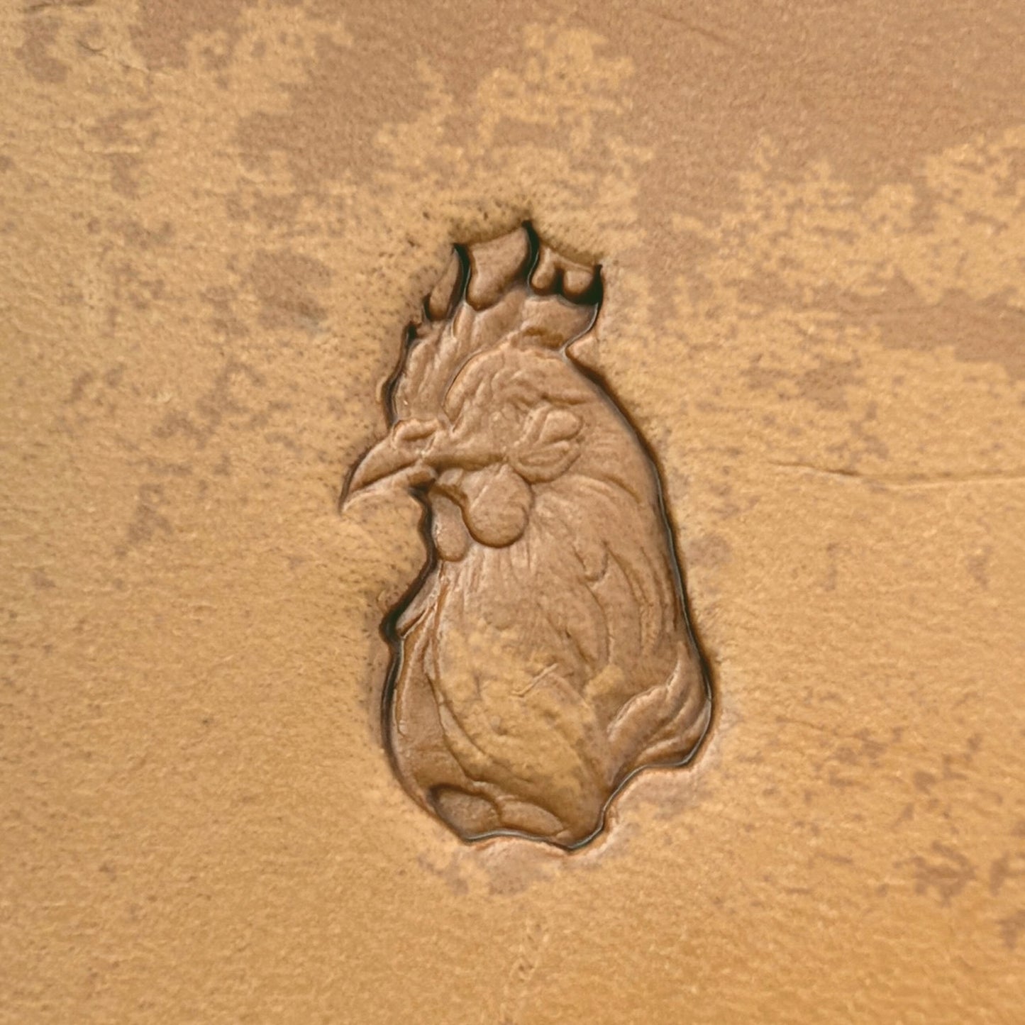 Rooster Head Animal leather stamp LT623 — single impression on veg-tan leather