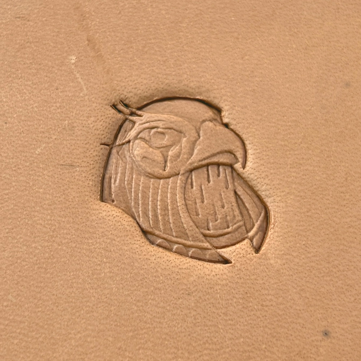 Fierce Head Eagle leather stamp LT625 — single impression on veg-tan leather