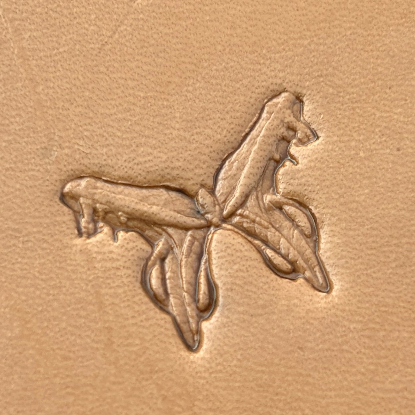 Flying Butterfly leather stamp LT632 — single impression on veg-tan leather