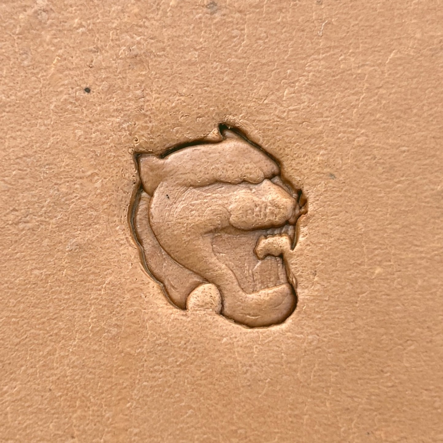Roaring Head Lion leather stamp LT636 — single impression on veg-tan leather