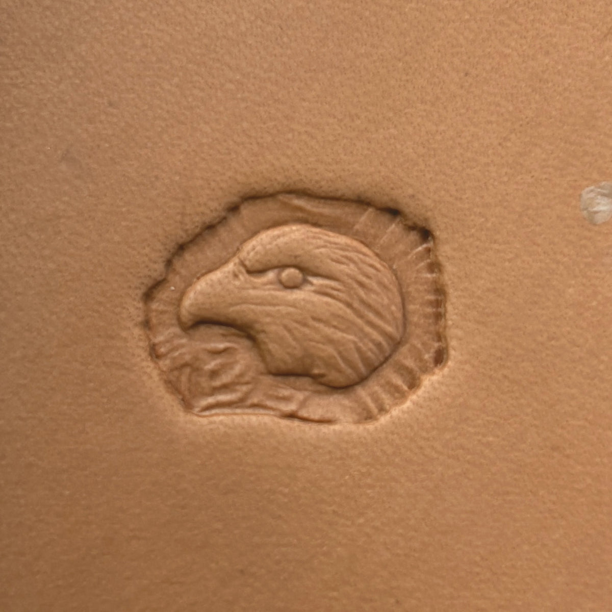 Bold Head Eagle leather stamp LT641 — single impression on veg-tan leather