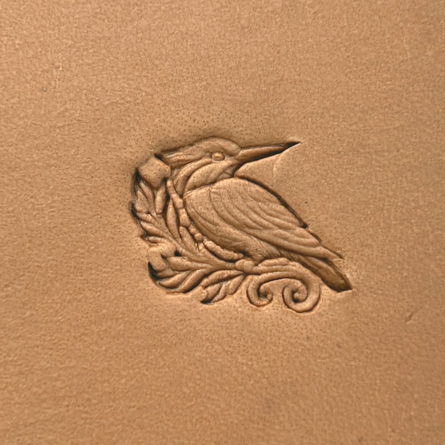 Kingfisher Bird leather stamp LT646 — single impression on veg-tan leather