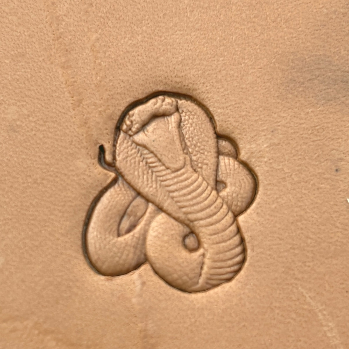 Cobra Snake leather stamp LT649 — single impression on veg-tan leather