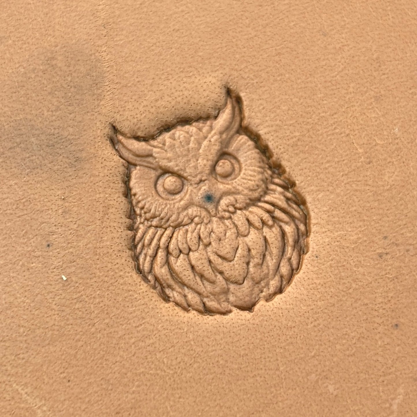 Owl leather stamp LT650 — single impression on veg-tan leather