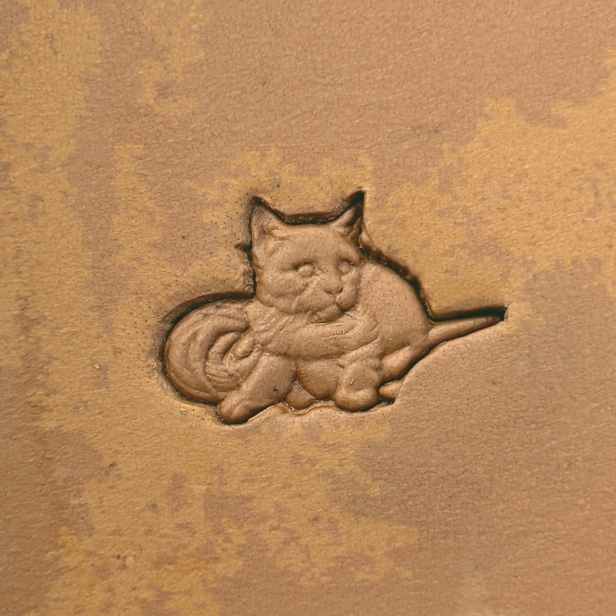 Cat leather stamp LT654 — single impression on veg-tan leather