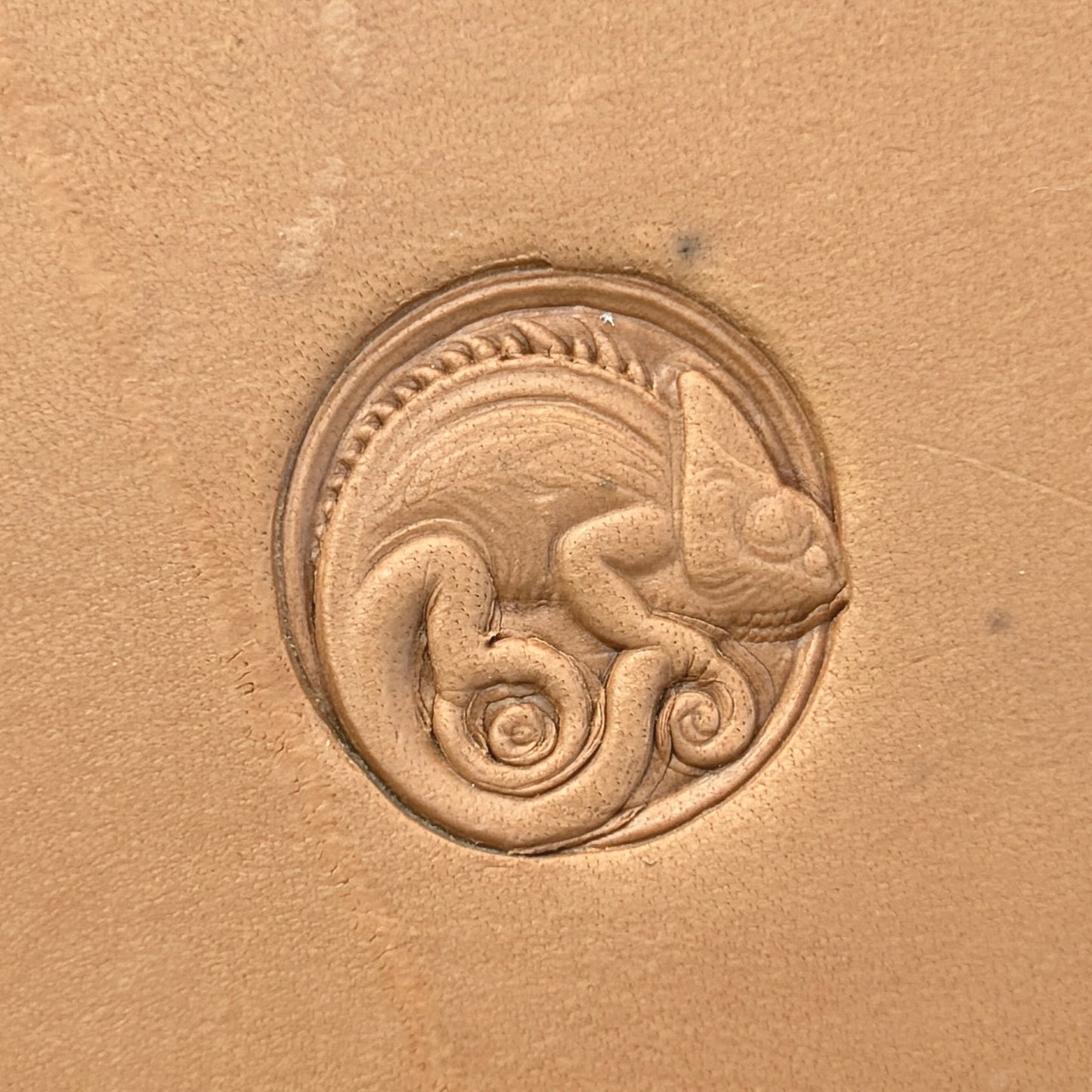Chameleon leather stamp LT655 — single impression on veg-tan leather