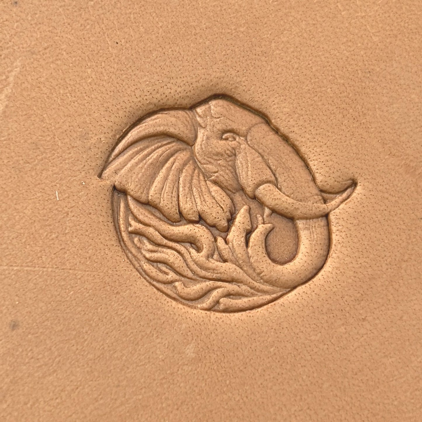 Head Elephant leather stamp LT656 — single impression on veg-tan leather