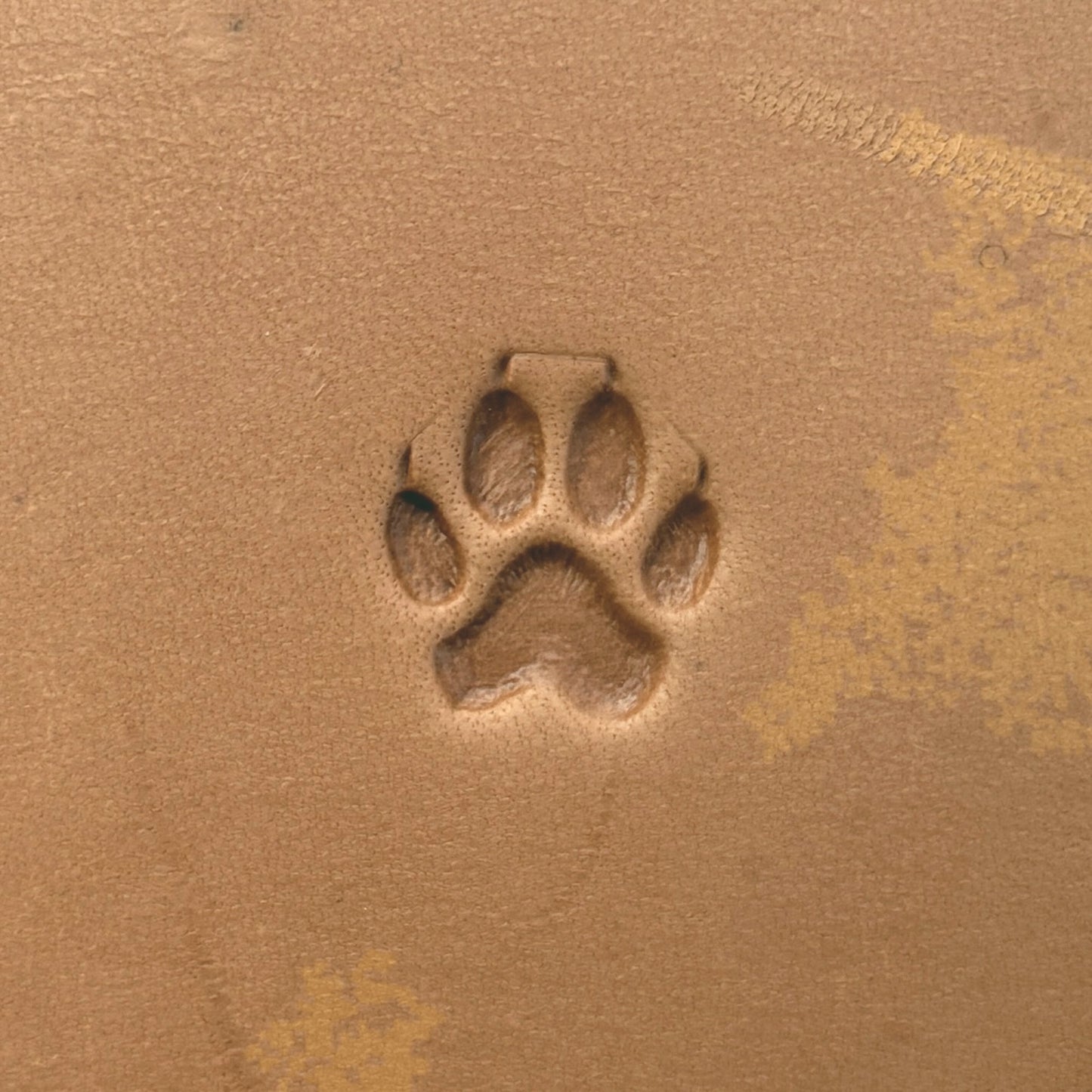 Paw Print Dog leather stamp LT659 — single impression on veg-tan leather