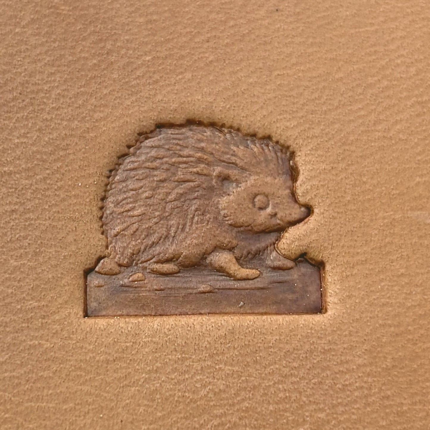 Cute Hedgehog leather stamp LT686 — single impression on veg-tan leather