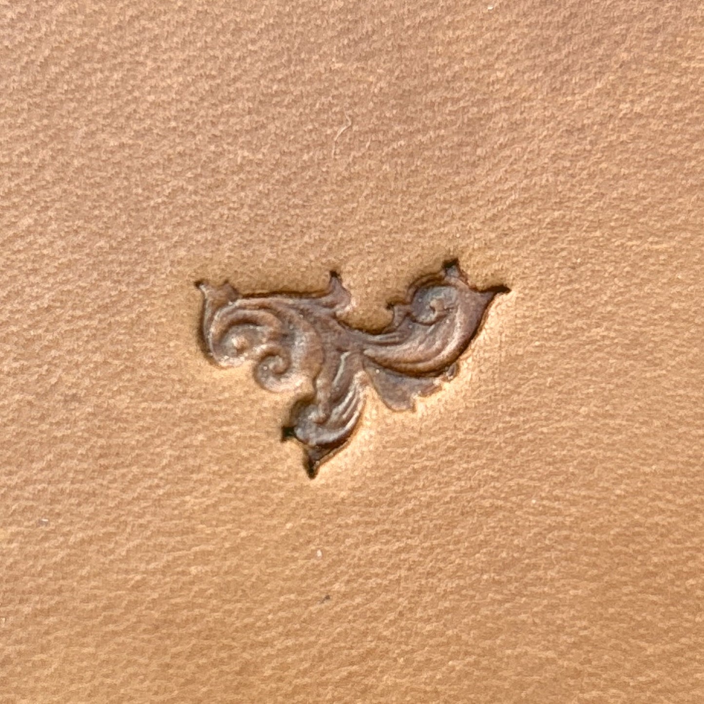 Ornate Scroll Flower leather stamp LT707 — single impression on veg-tan leather