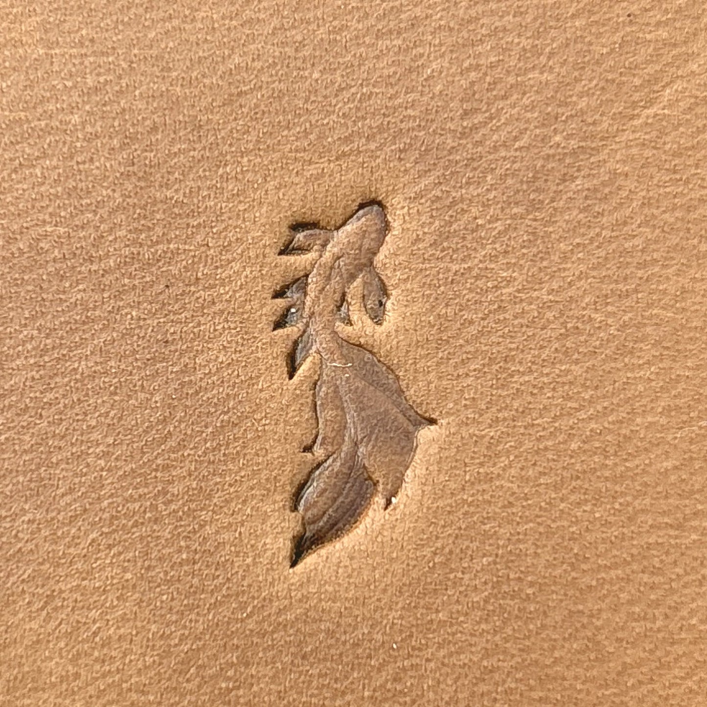Flowing Fish leather stamp LT712 — single impression on veg-tan leather
