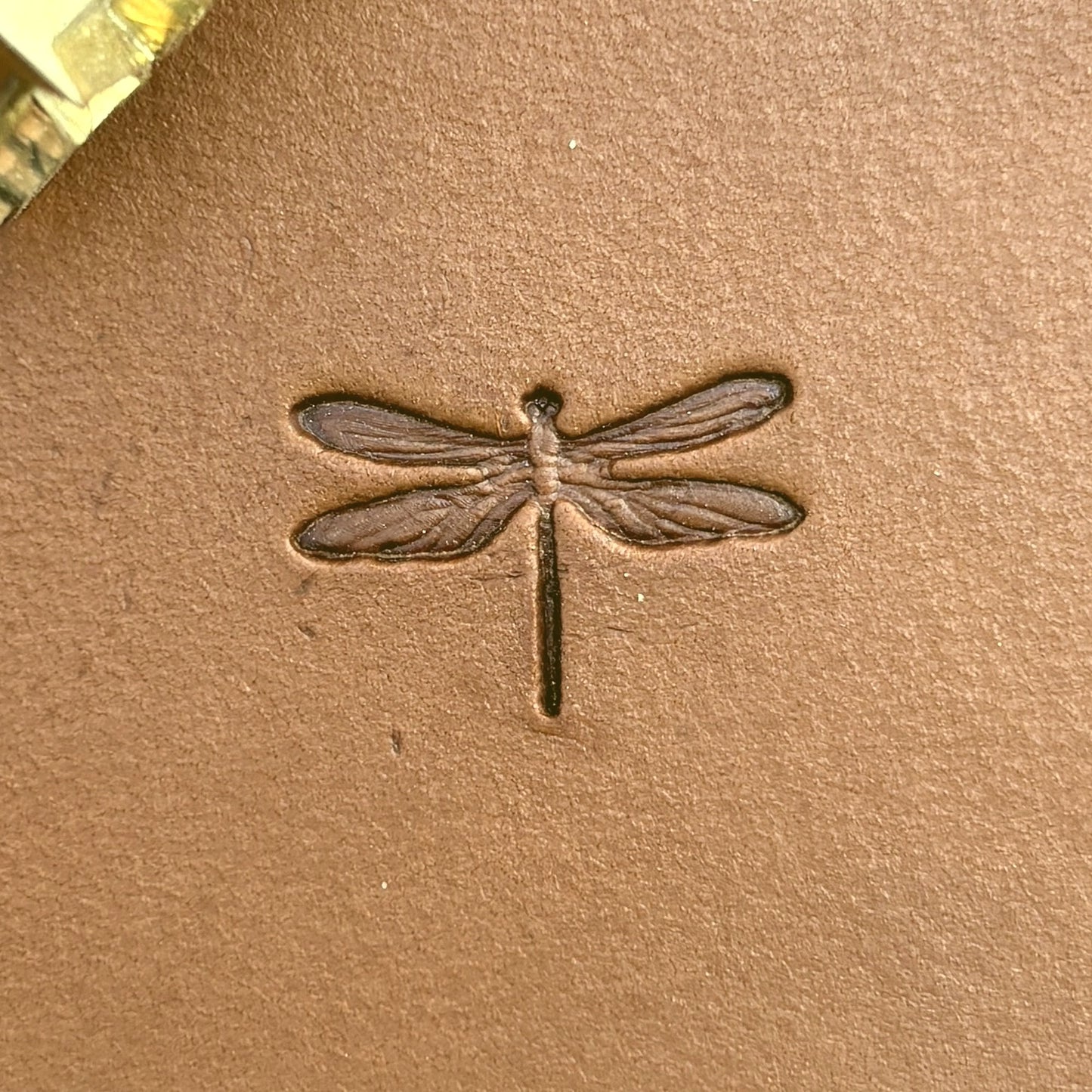 Dragonfly leather stamp LT715 — single impression on veg-tan leather