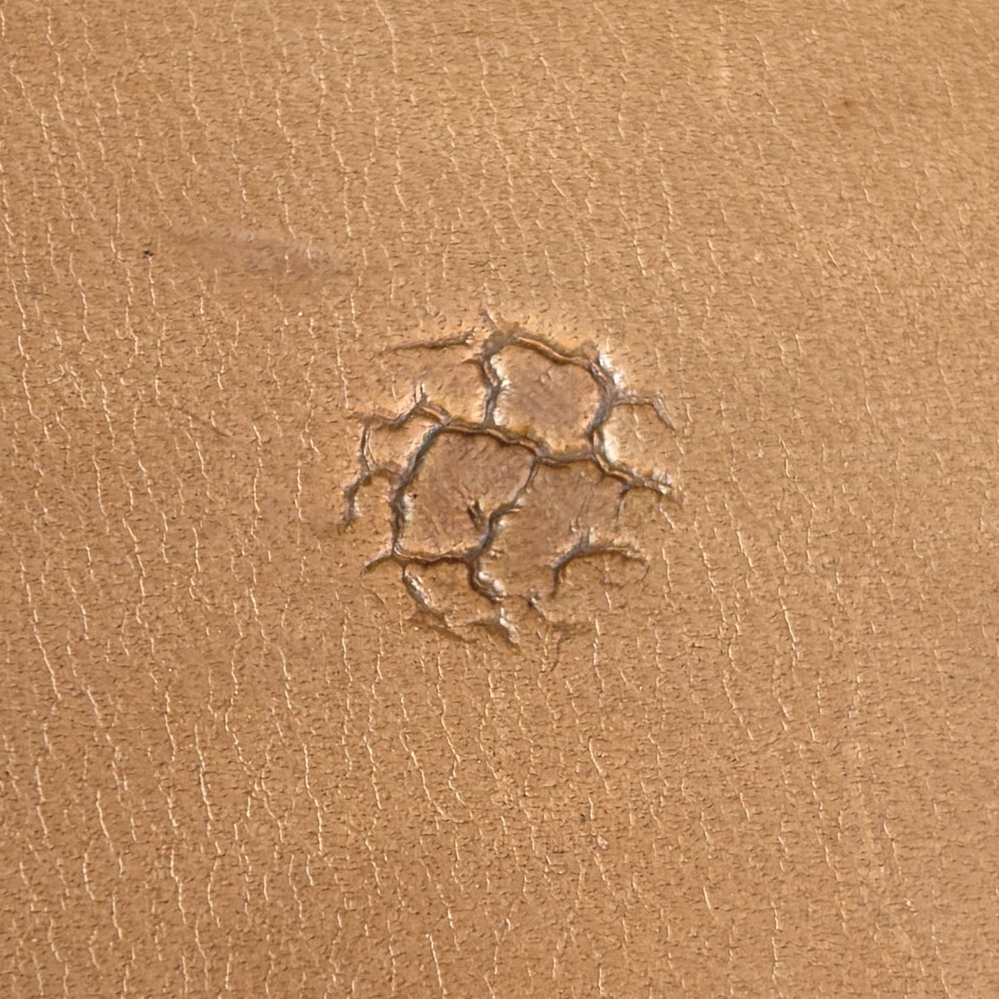 Cracked Texture leather stamp LT750 — single impression on veg-tan leather