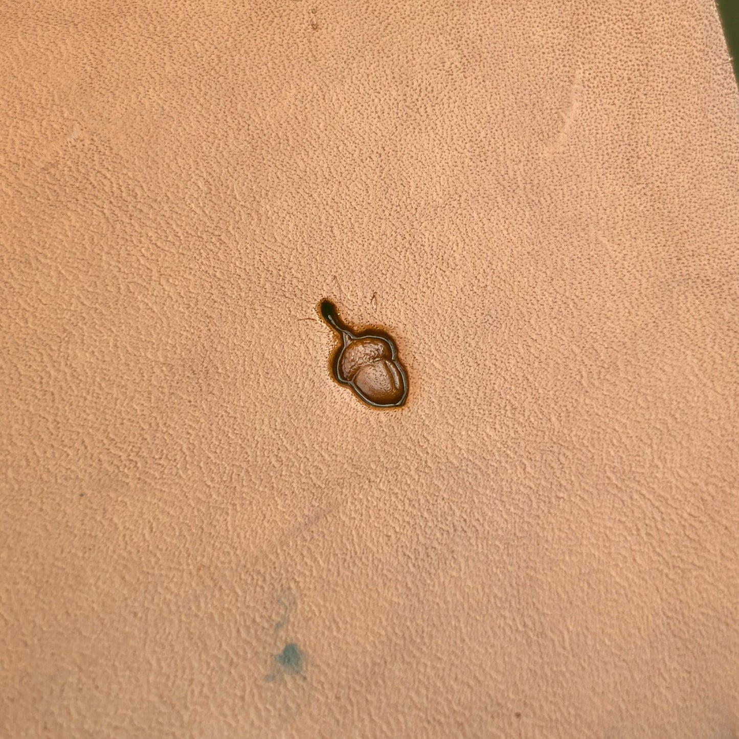 Acorn Oak Leaf leather stamp LT782 — single impression on veg-tan leather