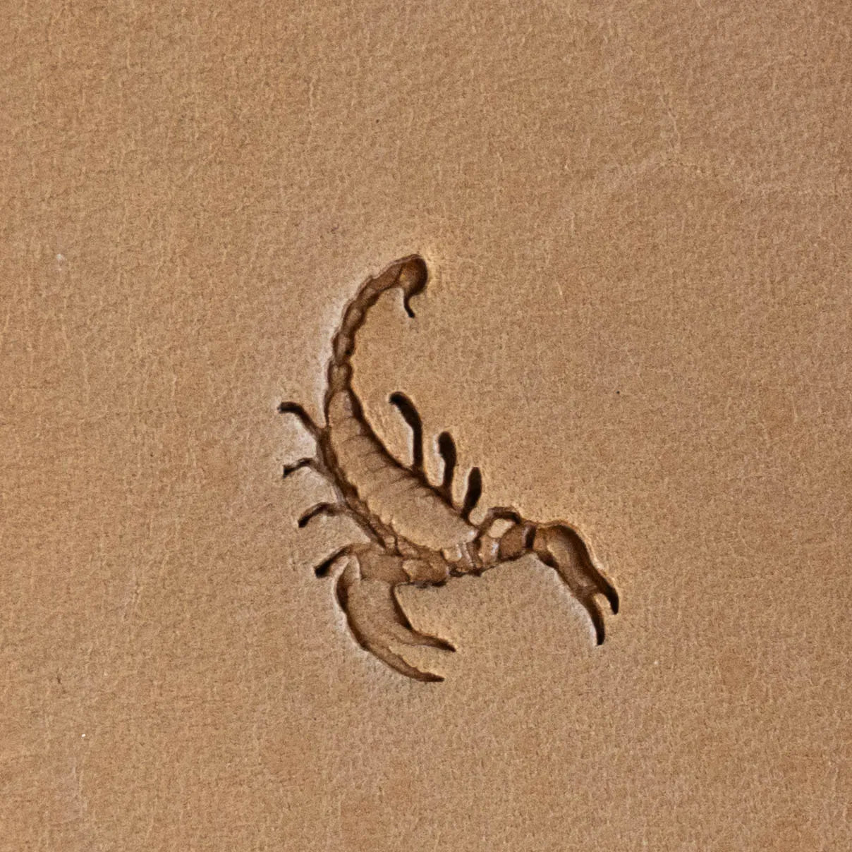 Animal Leather Stamp – Scorpion