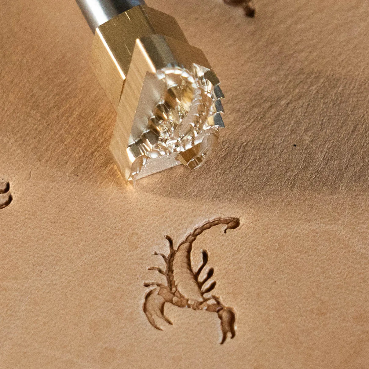 LT672 Scorpion Leather Stamping Tool– Scorpion 17x20mm (2/3" x 11/14")