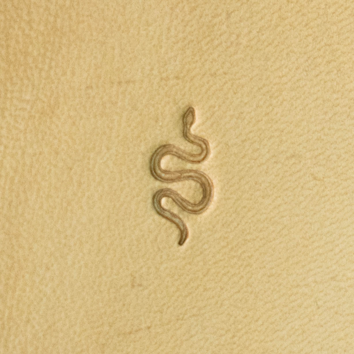 LT721 Snake Leather Stamping Tool–Curvy Line Snake 8x14mm (5/16" x 5/9")