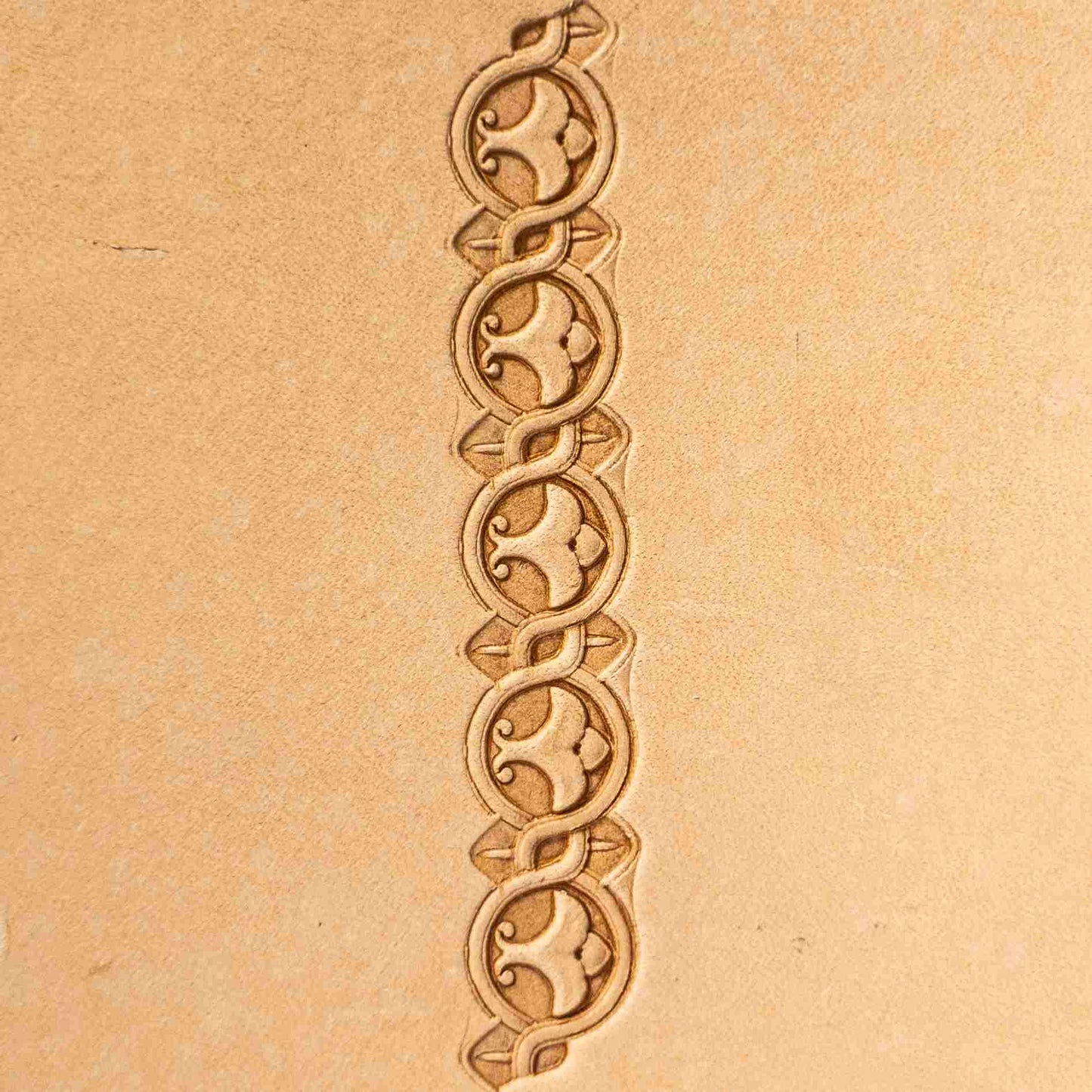LT144 Circular Border Leather Stamping Tool– Circular Border 18x11mm (5/7" x 7/16")