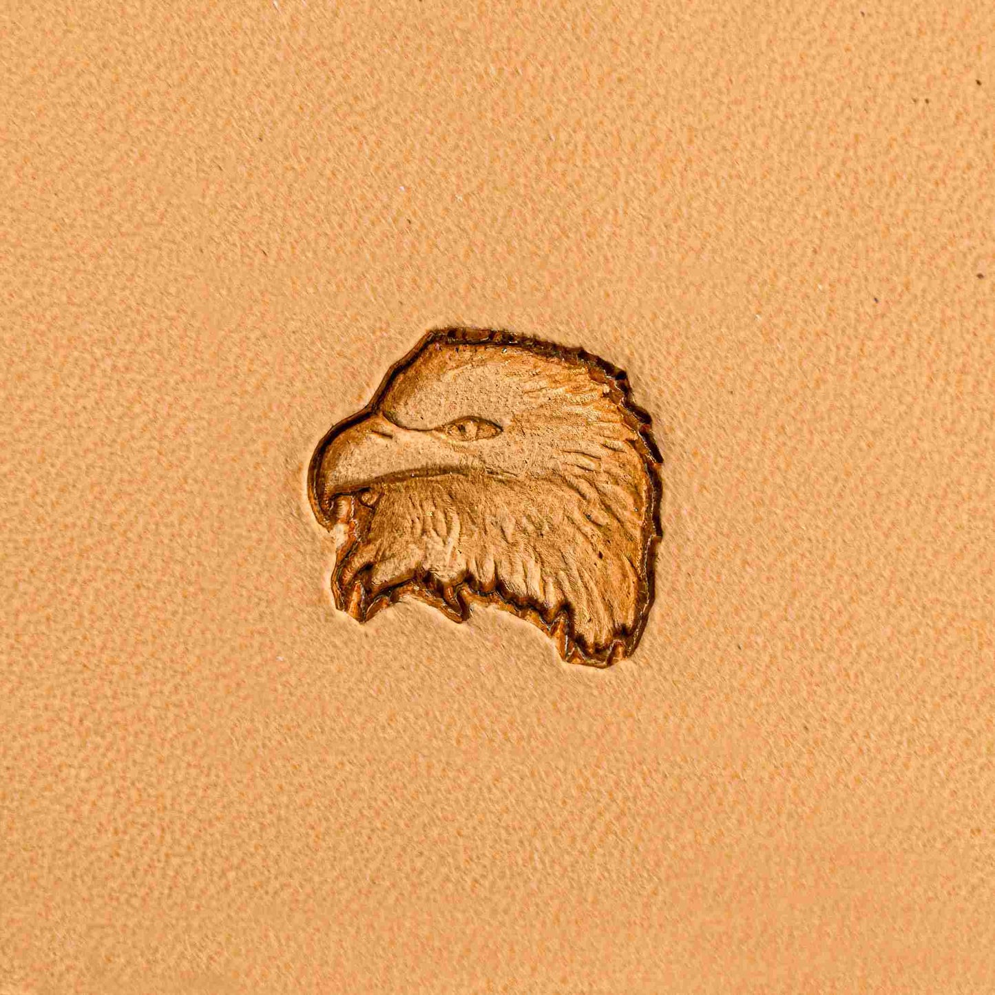 LT206 Eagle Leather Stamping Tool–Bold Head Eagle 20x20mm (11/14" x 11/14")
