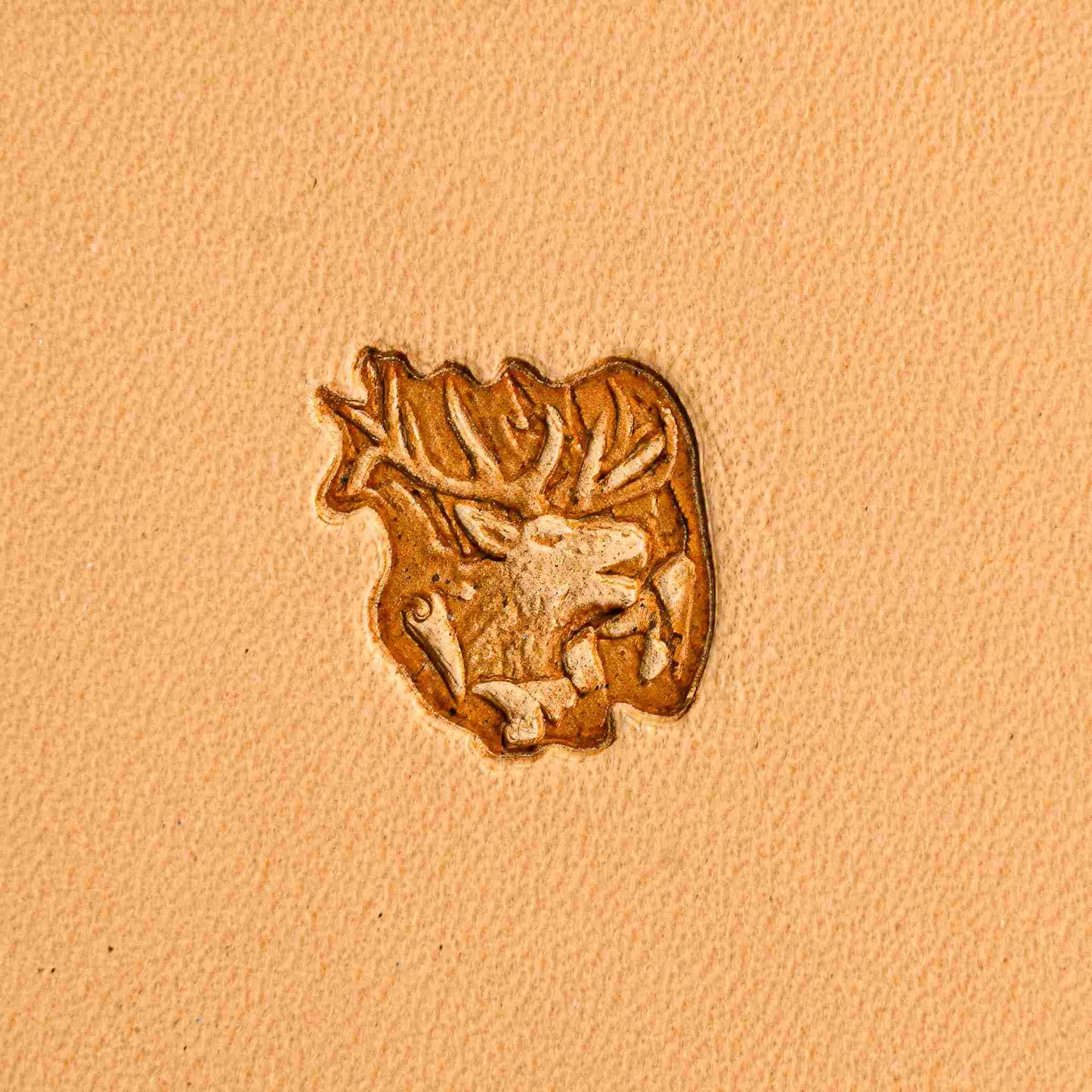 LT255 Deer Leather Stamping Tool–Antler Head Deer 19x18mm (3/4" x 5/7")