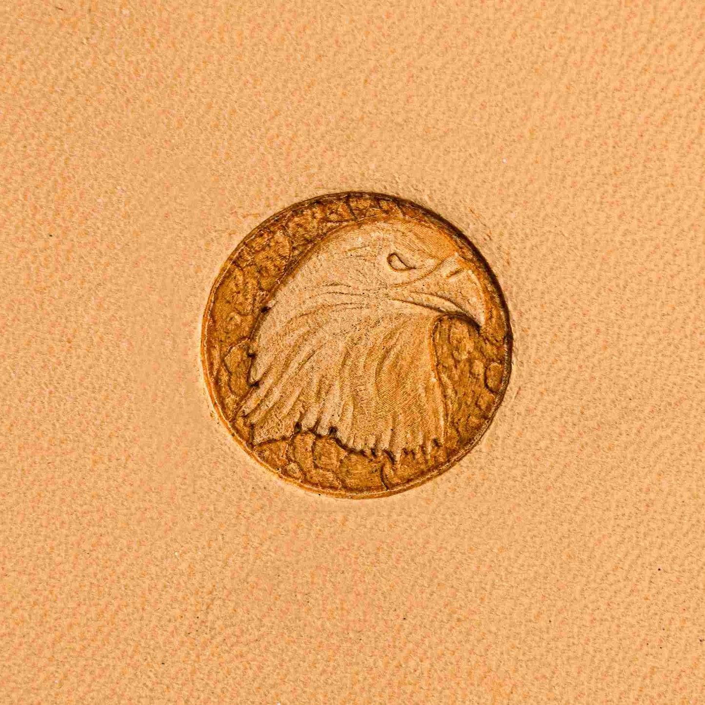 LT256 Eagle Leather Stamping Tool–Noble Head Eagle 19x19mm (3/4" x 3/4")