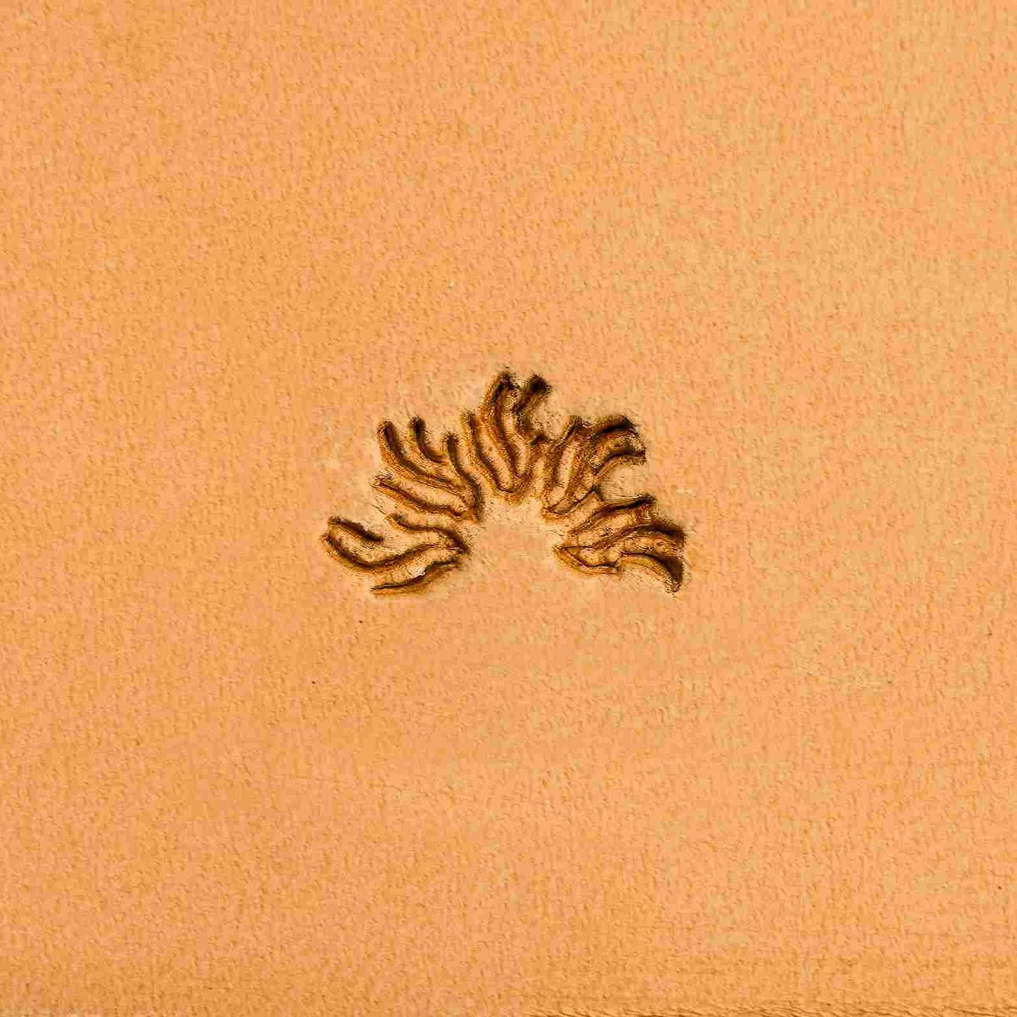 LT261 Curved Spiky Motif Leather Stamping Tool– Curved Spiky Motif 13x08mm (1/2" x 5/16")