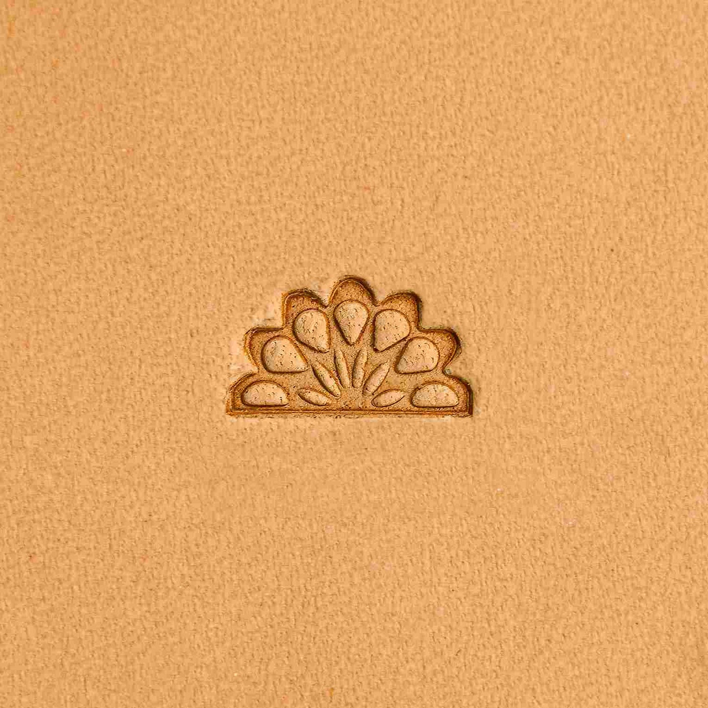 LT264 Peacock Leather Stamping Tool–Feather Style Peacock 13x08mm (1/2" x 5/16")