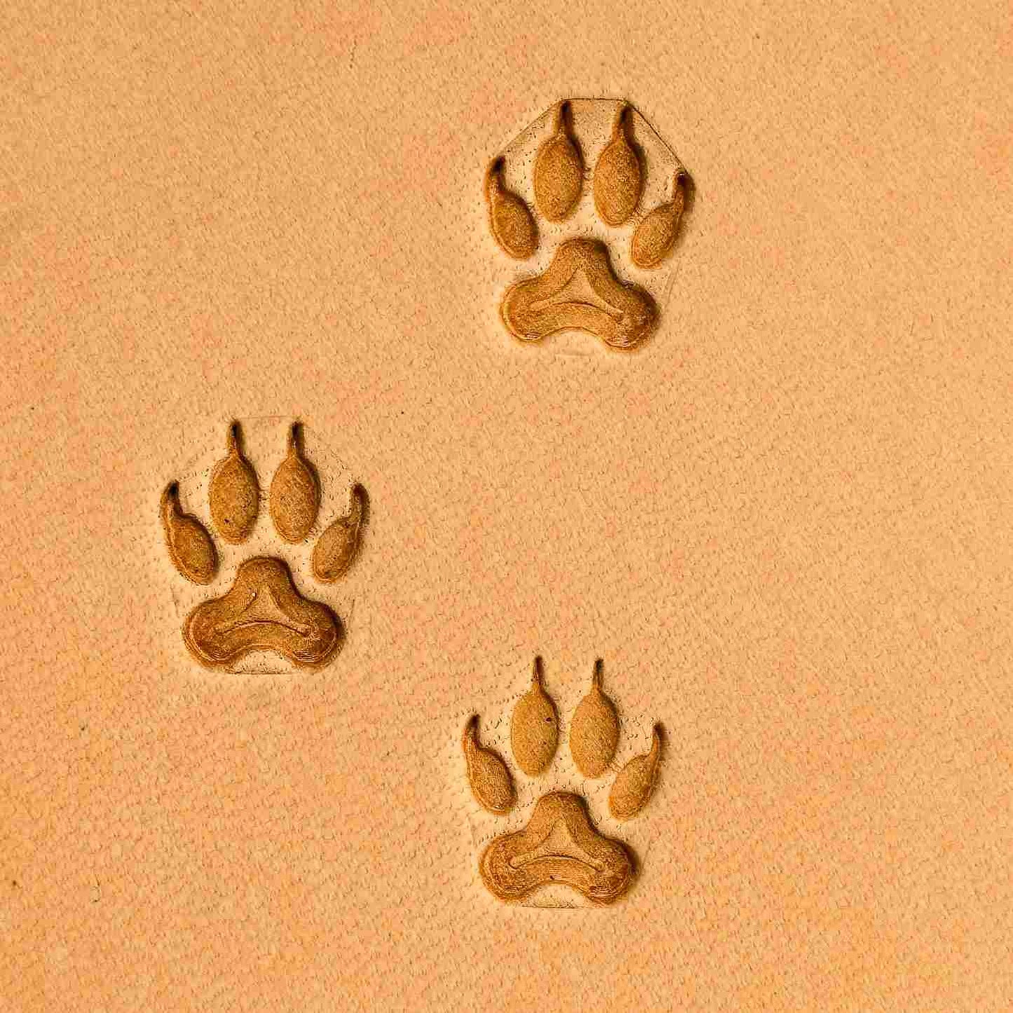 LT277 Paw Leather Stamping Tool–Wild Track Paw 11x09mm (7/16" x 5/14")