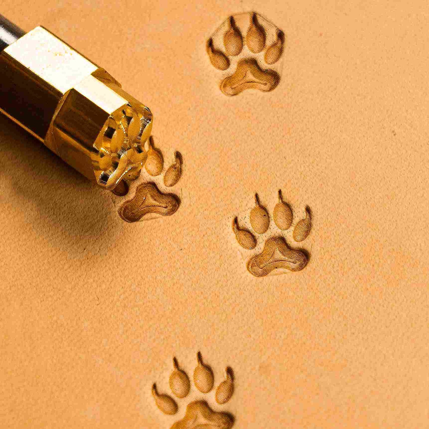 Paw Leather Stamp – Wild Track